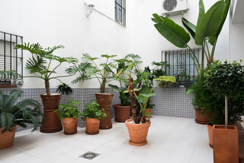 Urbanchicmalaga 3 Bedroom Spacious Quiet Historic Malaga Apt ภายนอก รูปภาพ